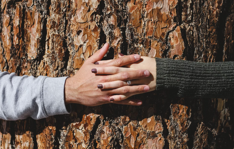 Nachhaltiges Campen: Natürlich gut für dich und Natur